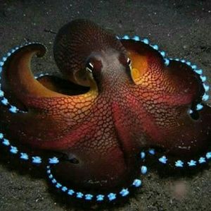 Like it?  Make an offer!